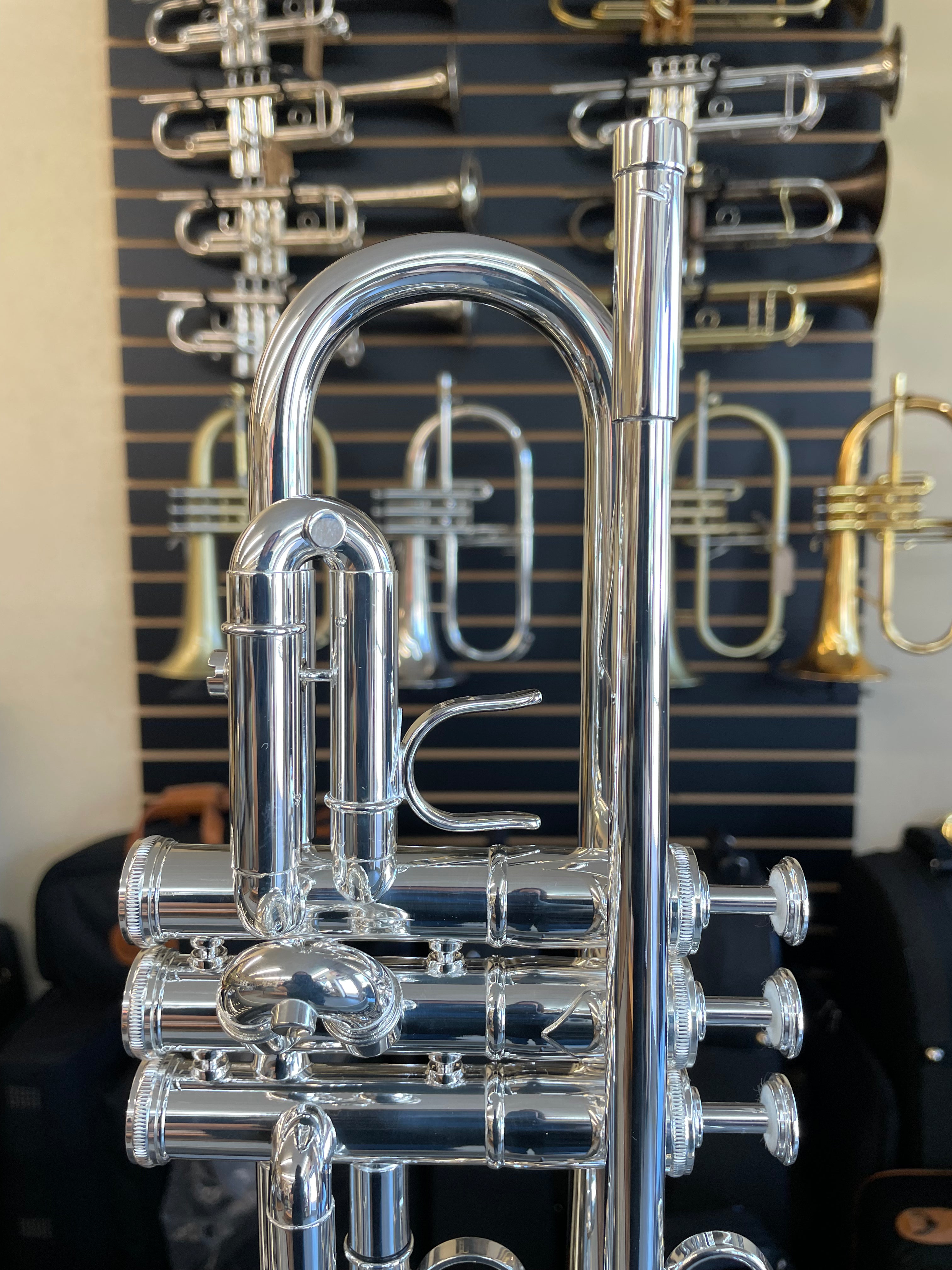 IMG_1283.heic?v=1743625024