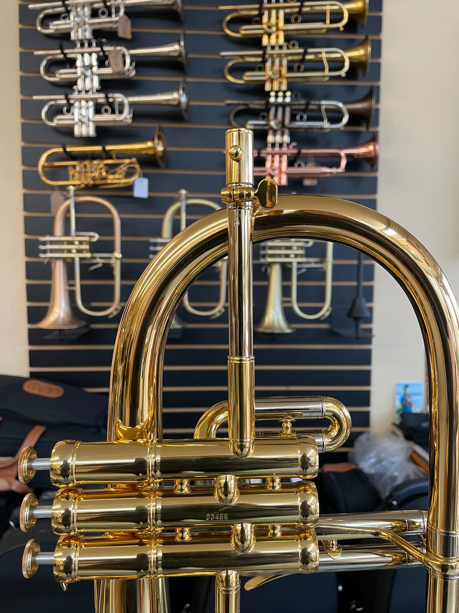 Sonic Flugelhorn