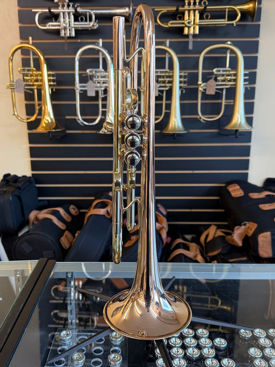 Taylor Piranha Trumpet (with MAW Valves)