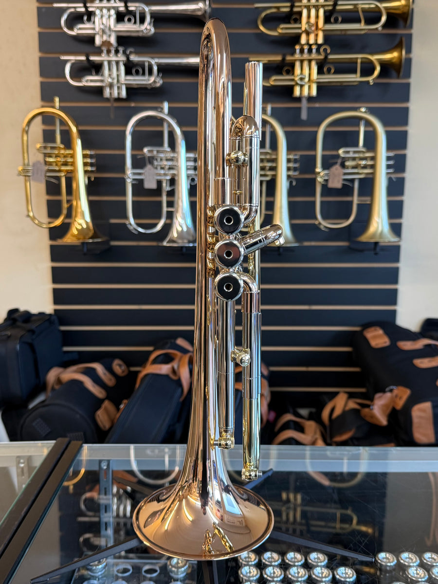 Taylor Piranha Trumpet (with MAW Valves)