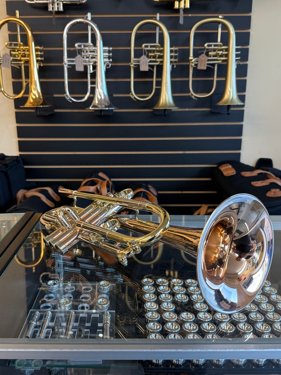 Taylor Piranha Trumpet (with MAW Valves)