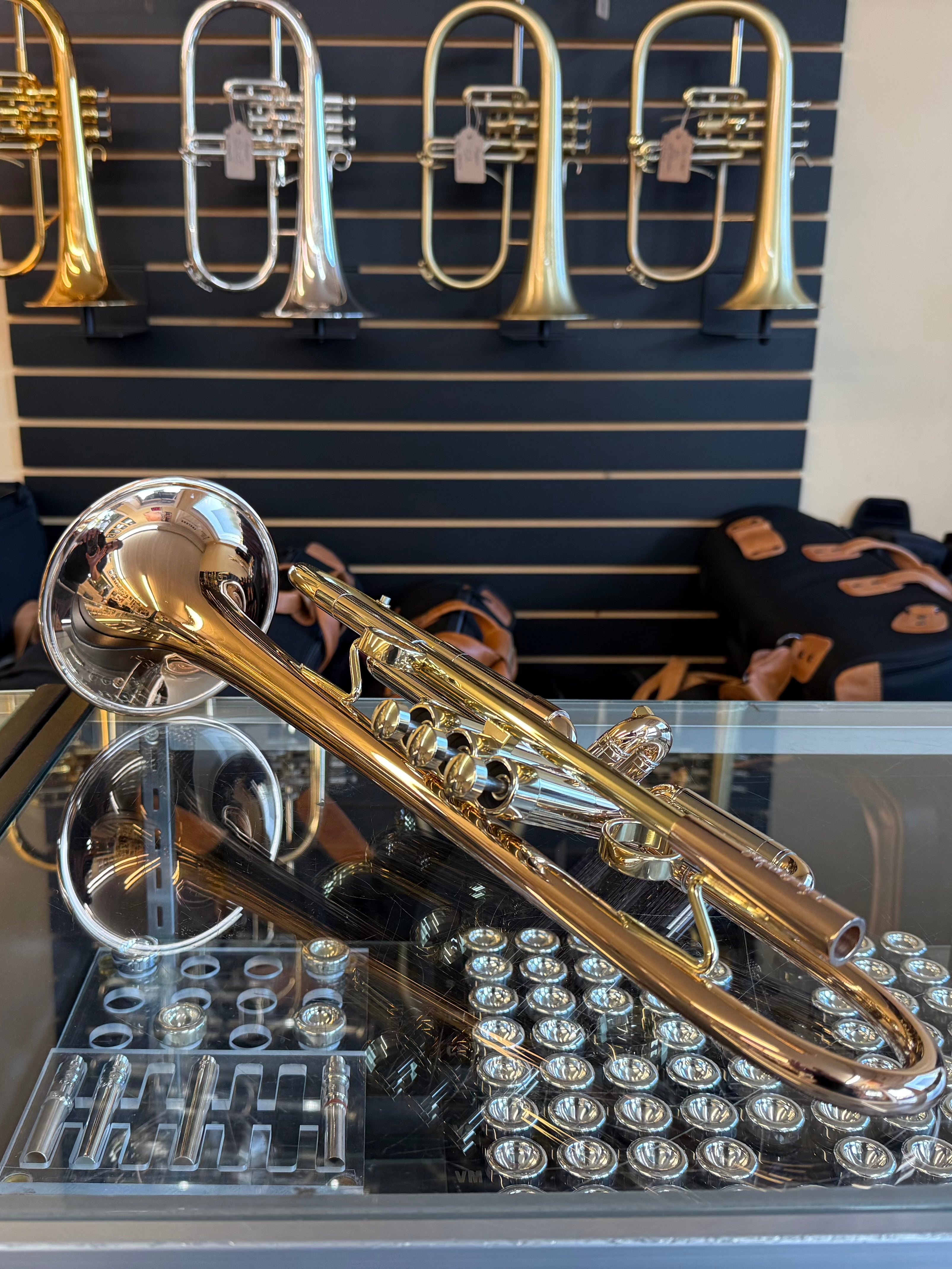 Taylor Piranha Bb Trumpet (with MAW Valves) – Greg Black Mouthpieces